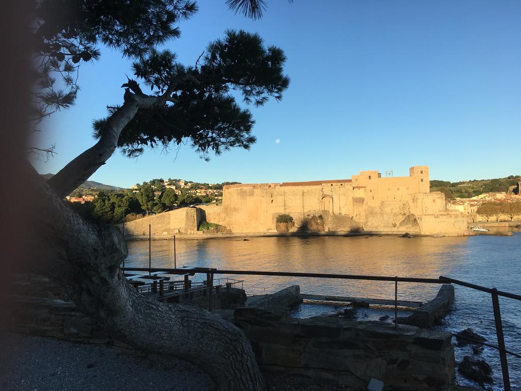Un Balcon Sur La Mer Port Vendres Eksteriør billede